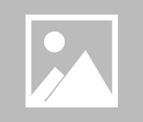 开云体育-Rookie重返赛场，战术调整首场状态出色，曼联观众沸腾！